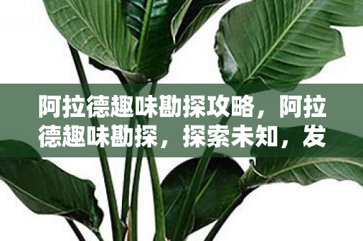 阿拉德趣味勘探攻略,阿拉德趣味勘探,探索未知,发现游戏世界的奇妙之处 阿拉德趣味勘探攻略,阿拉德趣味勘探,探索未知,发现游戏世界的奇妙之处