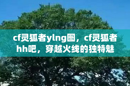 cf灵狐者ylng图,cf灵狐者hh吧,穿越火线的独特魅力与玩家社区 cf灵狐者ylng图,cf灵狐者hh吧,穿越火线的独特魅力与玩家社区