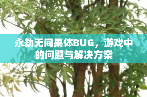 永劫无间果体BUG,游戏中的问题与解决方案 永劫无间果体BUG,游戏中的问题与解决方案
