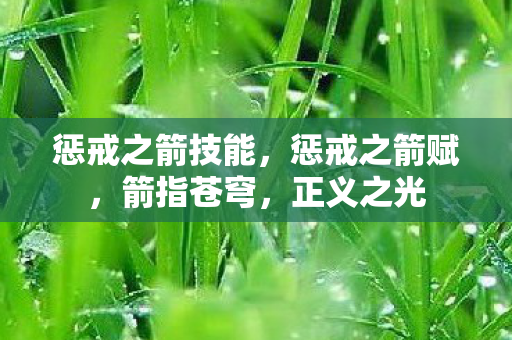 惩戒之箭技能,惩戒之箭赋,箭指苍穹,正义之光 惩戒之箭技能,惩戒之箭赋,箭指苍穹,正义之光