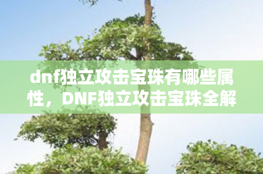 dnf独立攻击宝珠有哪些属性，DNF独立攻击宝珠全解析，提升战斗力的必备神器