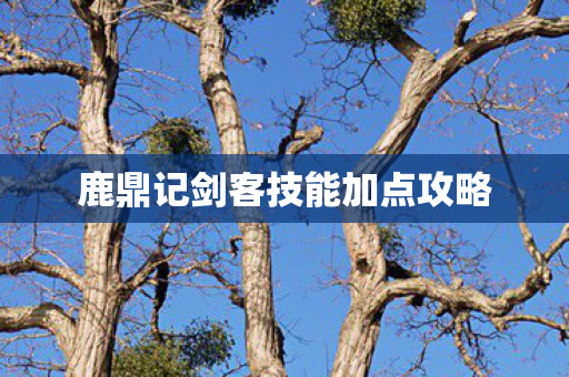 鹿鼎记剑客技能加点攻略 鹿鼎记剑客技能加点攻略