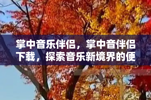 掌中音乐伴侣，掌中音伴侣下载，探索音乐新境界的便捷工具