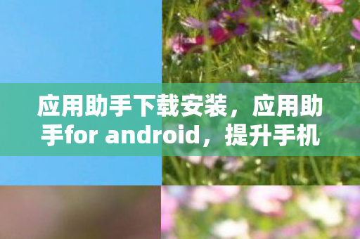 应用助手下载安装,应用助手for android,提升手机效率与便捷性的神器 应用助手下载安装,应用助手for android,提升手机效率与便捷性的神器