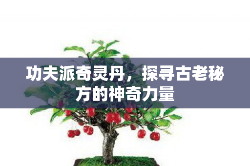 功夫派奇灵丹,探寻古老秘方的神奇力量 功夫派奇灵丹,探寻古老秘方的神奇力量