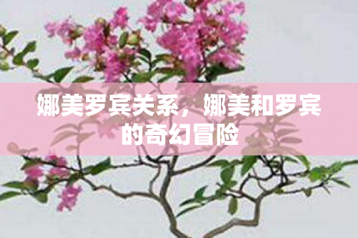 娜美罗宾关系，娜美和罗宾的奇幻冒险