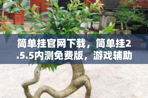 简单挂官网下载,简单挂2.5.5内测免费版,游戏辅助新体验 简单挂官网下载,简单挂2.5.5内测免费版,游戏辅助新体验