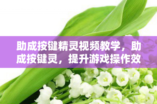 助成按键精灵视频教学,助成按键灵,提升游戏操作效率的神器 助成按键精灵视频教学,助成按键灵,提升游戏操作效率的神器