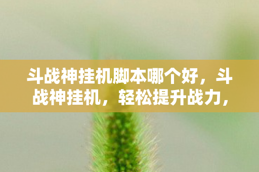 斗战神挂机脚本哪个好，斗战神挂机，轻松提升战力，享受游戏乐趣