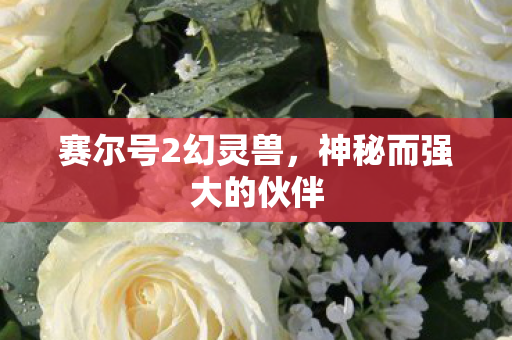 赛尔号2幻灵兽,神秘而强大的伙伴 赛尔号2幻灵兽,神秘而强大的伙伴