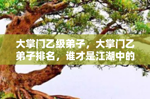 大掌门乙级弟子，大掌门乙弟子排名，谁才是江湖中的真正高手？