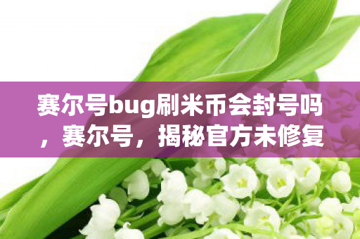 赛尔号bug刷米币会封号吗，赛尔号，揭秘官方未修复的BUG，轻松获取米币