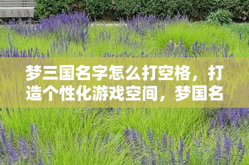 梦三国名字怎么打空格,打造个性化游戏空间,梦国名字空格的艺术 梦三国名字怎么打空格,打造个性化游戏空间,梦国名字空格的艺术