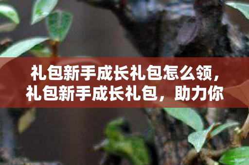 礼包新手成长礼包怎么领，礼包新手成长礼包，助力你的游戏之旅