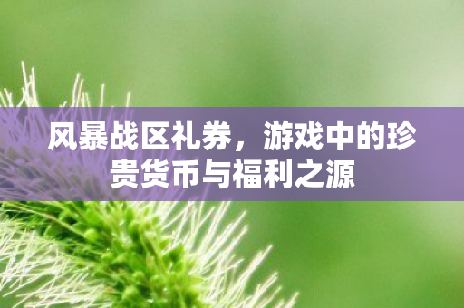 风暴战区礼券,游戏中的珍贵货币与福利之源 风暴战区礼券,游戏中的珍贵货币与福利之源