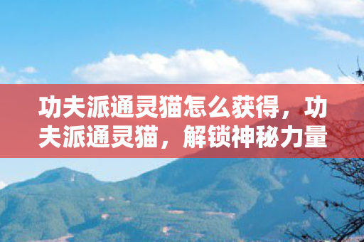 功夫派通灵猫怎么获得，功夫派通灵猫，解锁神秘力量的奇幻之旅