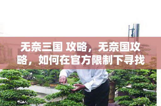 无奈三国 攻略,无奈国攻略,如何在官方限制下寻找游戏乐趣 无奈三国 攻略,无奈国攻略,如何在官方限制下寻找游戏乐趣