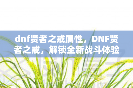 dnf贤者之戒属性,DNF贤者之戒,解锁全新战斗体验 dnf贤者之戒属性,DNF贤者之戒,解锁全新战斗体验