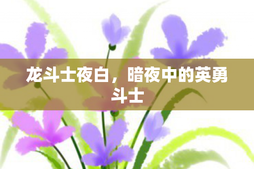 龙斗士夜白,暗夜中的英勇斗士 龙斗士夜白,暗夜中的英勇斗士