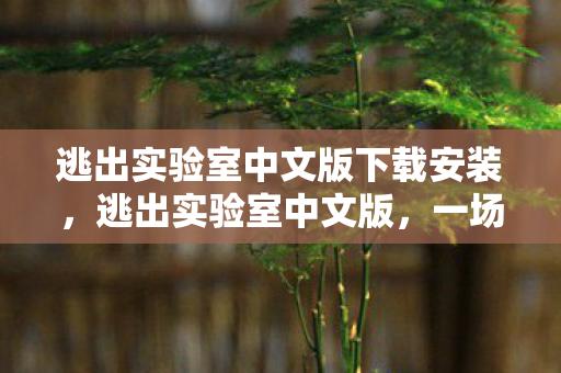 逃出实验室中文版下载安装,逃出实验室中文版,一场惊心动魄的冒险之旅 逃出实验室中文版下载安装,逃出实验室中文版,一场惊心动魄的冒险之旅