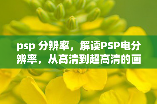 psp 分辨率,解读PSP电分辨率,从高清到超高清的画质飞跃 psp 分辨率,解读PSP电分辨率,从高清到超高清的画质飞跃