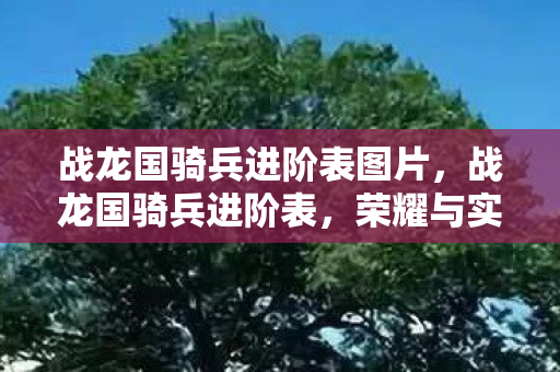 战龙国骑兵进阶表图片,战龙国骑兵进阶表,荣耀与实力的象征 战龙国骑兵进阶表图片,战龙国骑兵进阶表,荣耀与实力的象征
