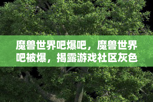 魔兽世界吧爆吧,魔兽世界吧被爆,揭露游戏社区灰色地带 魔兽世界吧爆吧,魔兽世界吧被爆,揭露游戏社区灰色地带