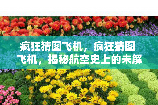 疯狂猜图飞机,疯狂猜图 飞机,揭秘航空史上的未解之谜 疯狂猜图飞机,疯狂猜图 飞机,揭秘航空史上的未解之谜