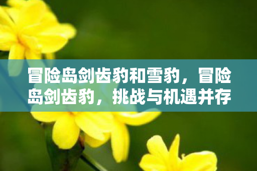 冒险岛剑齿豹和雪豹,冒险岛剑齿豹,挑战与机遇并存的冒险之旅 冒险岛剑齿豹和雪豹,冒险岛剑齿豹,挑战与机遇并存的冒险之旅