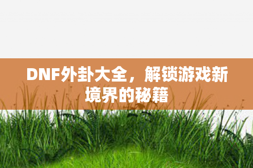 DNF外卦大全,解锁游戏新境界的秘籍 DNF外卦大全,解锁游戏新境界的秘籍