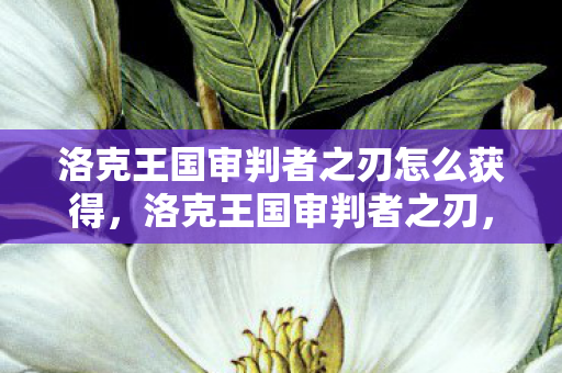洛克王国审判者之刃怎么获得，洛克王国审判者之刃，解锁王国力量的神秘钥匙