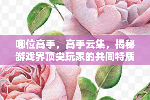 哪位高手，高手云集，揭秘游戏界顶尖玩家的共同特质