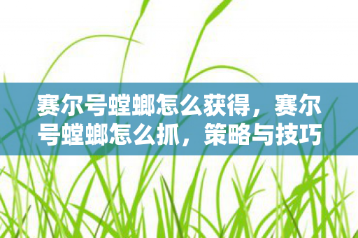 赛尔号螳螂怎么获得,赛尔号螳螂怎么抓,策略与技巧详解 赛尔号螳螂怎么获得,赛尔号螳螂怎么抓,策略与技巧详解