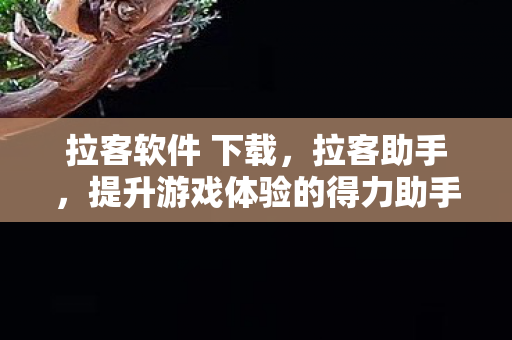 拉客软件 下载，拉客助手，提升游戏体验的得力助手