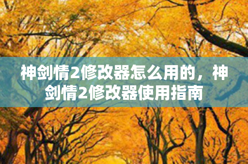 神剑情2修改器怎么用的，神剑情2修改器使用指南