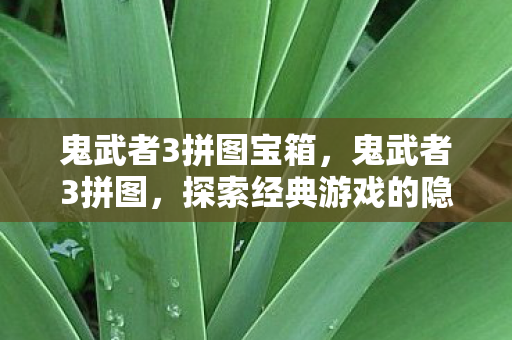 鬼武者3拼图宝箱，鬼武者3拼图，探索经典游戏的隐藏奥秘