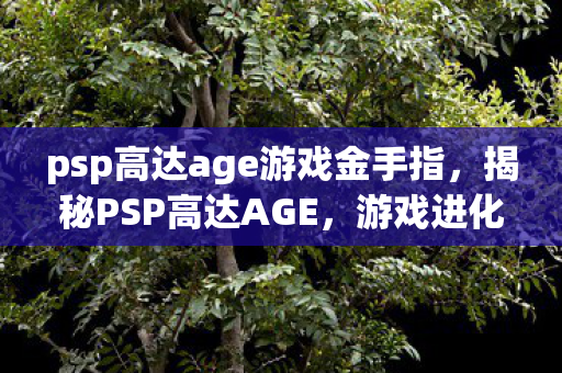 psp高达age游戏金手指,揭秘PSP高达AGE,游戏进化与玩家社区的互动 psp高达age游戏金手指,揭秘PSP高达AGE,游戏进化与玩家社区的互动