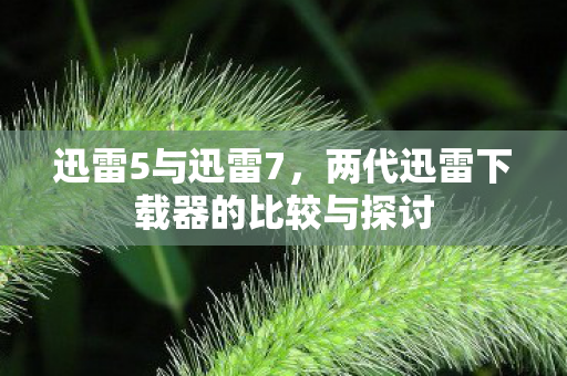 迅雷5与迅雷7,两代迅雷下载器的比较与探讨 迅雷5与迅雷7,两代迅雷下载器的比较与探讨