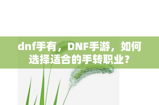 dnf手有,DNF手游,如何选择适合的手转职业? dnf手有,DNF手游,如何选择适合的手转职业?