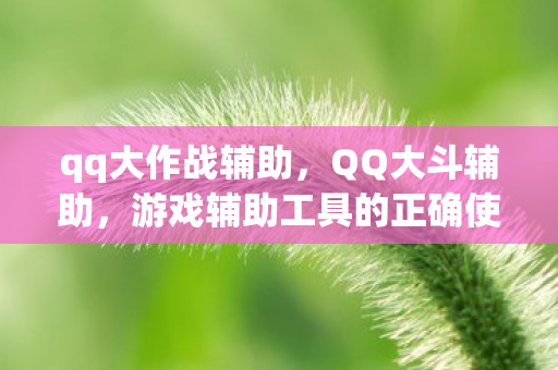 qq大作战辅助,QQ大斗辅助,游戏辅助工具的正确使用与注意事项 qq大作战辅助,QQ大斗辅助,游戏辅助工具的正确使用与注意事项