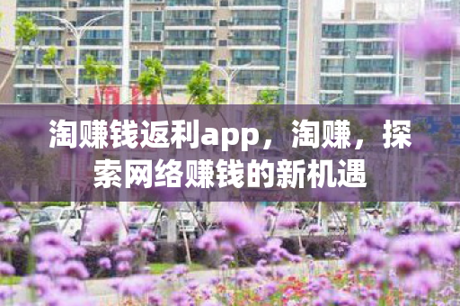淘赚钱返利app,淘赚,探索网络赚钱的新机遇 淘赚钱返利app,淘赚,探索网络赚钱的新机遇