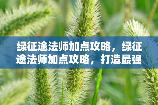 绿征途法师加点攻略,绿征途法师加点攻略,打造最强法师的加点指南 绿征途法师加点攻略,绿征途法师加点攻略,打造最强法师的加点指南