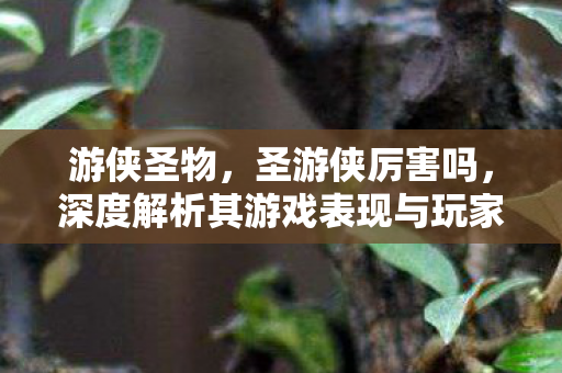 游侠圣物,圣游侠厉害吗,深度解析其游戏表现与玩家评价 游侠圣物,圣游侠厉害吗,深度解析其游戏表现与玩家评价