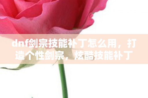 dnf剑宗技能补丁怎么用,打造个性剑宗,炫酷技能补丁大放送 dnf剑宗技能补丁怎么用,打造个性剑宗,炫酷技能补丁大放送