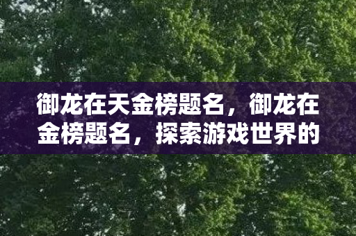 御龙在天金榜题名，御龙在金榜题名，探索游戏世界的无限可能
