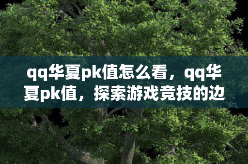 qq华夏pk值怎么看，qq华夏pk值，探索游戏竞技的边界