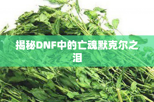 揭秘DNF中的亡魂默克尔之泪 揭秘DNF中的亡魂默克尔之泪