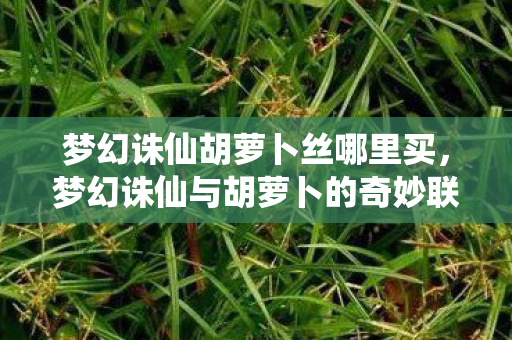 梦幻诛仙胡萝卜丝哪里买,梦幻诛仙与胡萝卜的奇妙联动,解锁游戏中的健康密码 梦幻诛仙胡萝卜丝哪里买,梦幻诛仙与胡萝卜的奇妙联动,解锁游戏中的健康密码