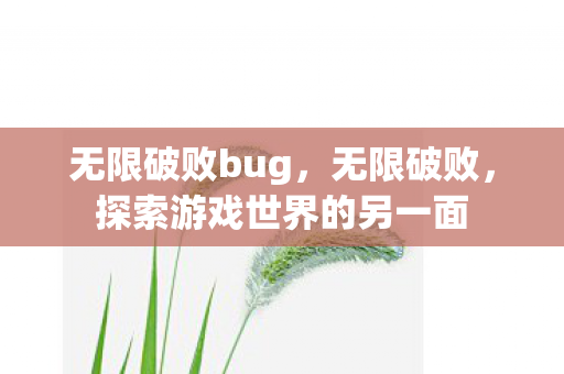 无限破败bug,无限破败,探索游戏世界的另一面 无限破败bug,无限破败,探索游戏世界的另一面