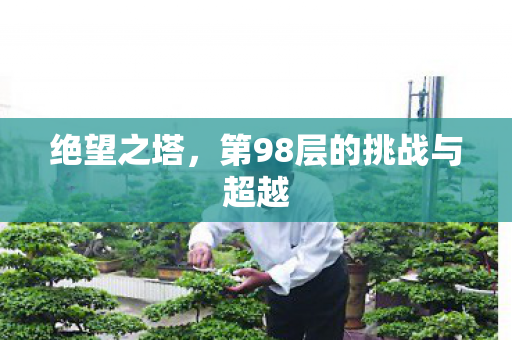 绝望之塔,第98层的挑战与超越 绝望之塔,第98层的挑战与超越
